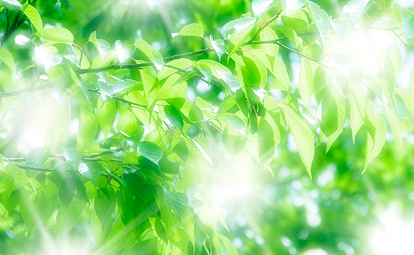 ビジネス(月額)¥49,500〜読解支援/提出物チェック