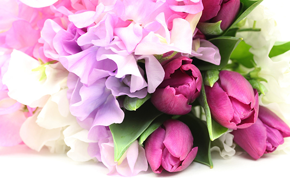 VIP ¥88,000〜 入札関係一式チェック